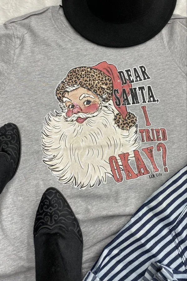 BC DEAR SANTA I TRIED-GREY