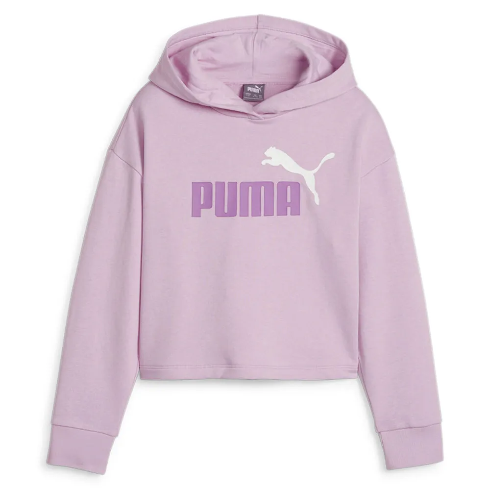 Essentials Two-Color Logo Hoodie (Youth)